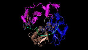 Tangled picture in several colour of protein molecule