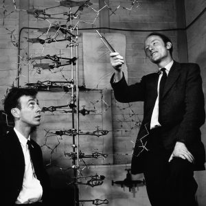 Black and White photograph of Watson and Crick considering their DNA model, one standing and pointing, the other sitting.