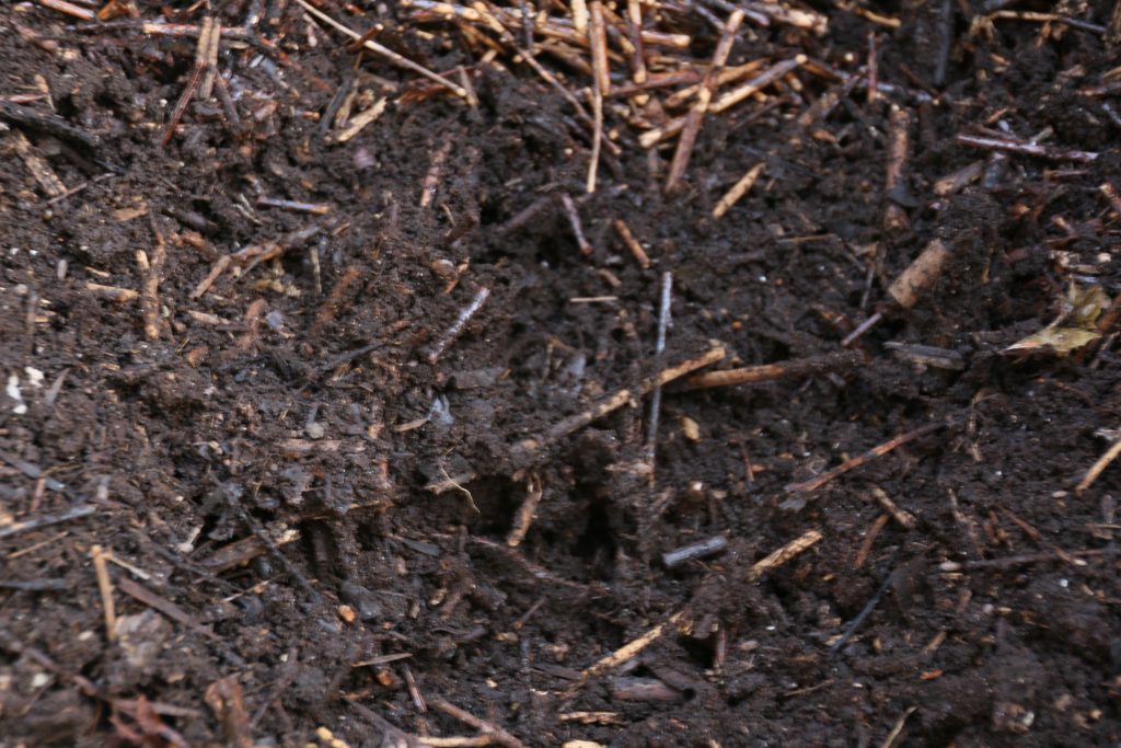 close up of good compost, deep brown with a few woody bits